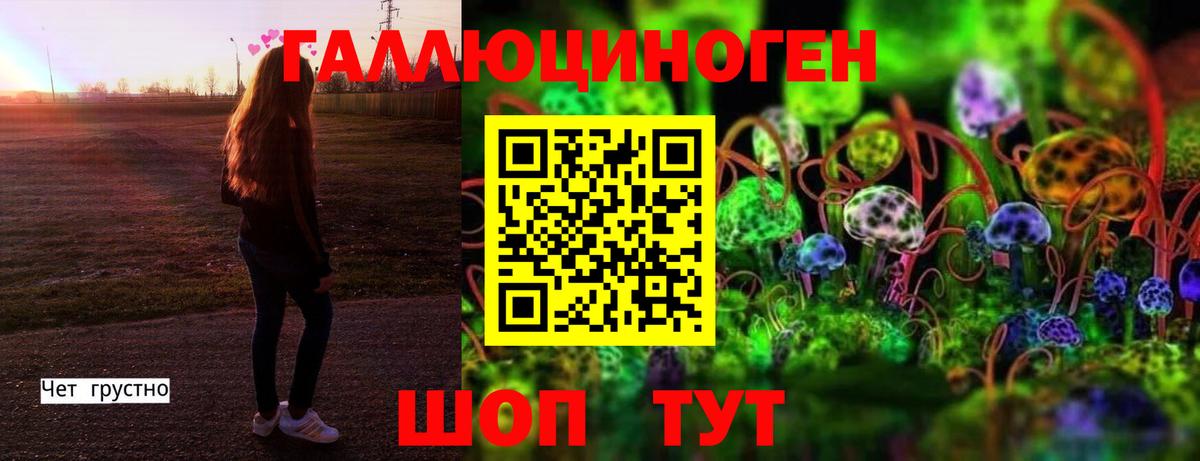 Гуково  Галлюциногенные грибы прущие грибы  Вход с VPN 
