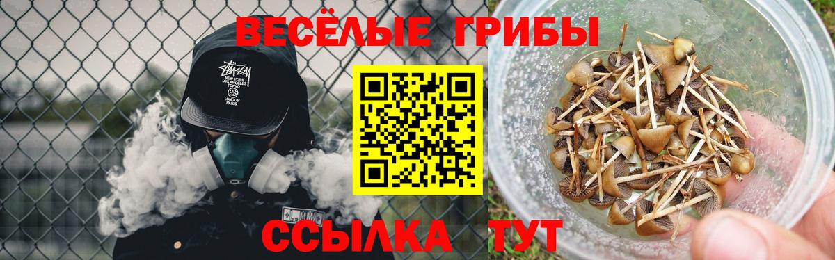 Галлюциногенные грибы прущие грибы Гуково